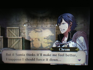 Illustration for article titled This Is What Romance Looks Like In Fire Emblem: Awakening